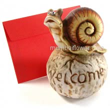 Welcome Snail