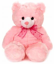 Pink Teddy 15