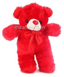 Red Teddy 12 Inch