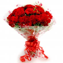 15 Red Carnation