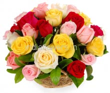 20 Mixed Color Roses