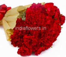 20 Stems Red Carnations
