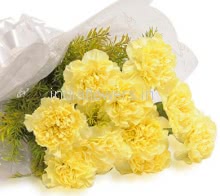 10pc Yellow Carnations
