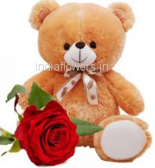 1pc Red Rose and Teddy