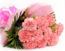10 Pink Carnations