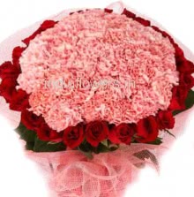 Roses n Carnations
