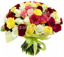 50 Mixed Color Roses