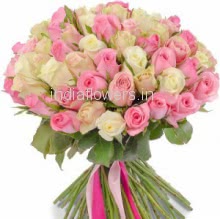 50 Pink and White Roses