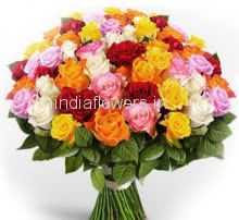 45 Mixed Color Roses