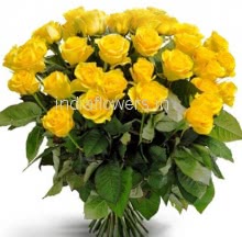 Bunch of 35 Yellow Roses
