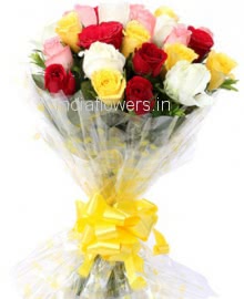25 Mixed Color Roses
