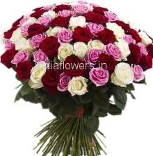 60 Red Pink and White Roses