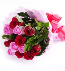 Cute Red n Pink Roses