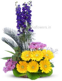 Mixed Flowers Exotic Arranement of Gerbera and Carnation to India