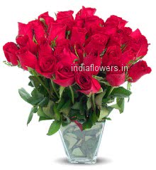 Red Romance Valentine Roses