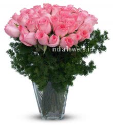 Lovely Valentine Pink Roses