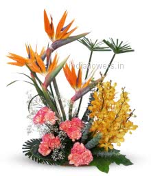 Mixed Exotic Flowers