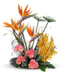 Mixed Exotic Flowers with BOP to India