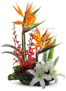 Arrangement of Orange Bop and Lilies to India
