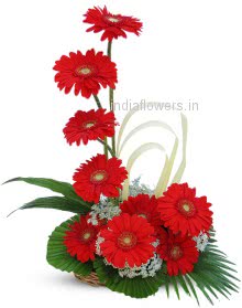 Awesome Red Flowers