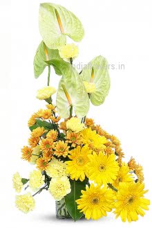 Mixed Exotic Flowers of Wishes  Yellow Gerbera Carnation Combination to India