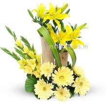 Excell Yellow Flowers