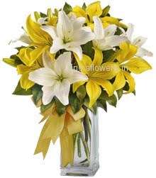 Awesome Lilies