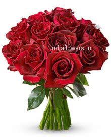 Lovely Bunch of 15 Valentines Day Red Roses for your Valentine