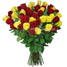 Red and Yellow Roses