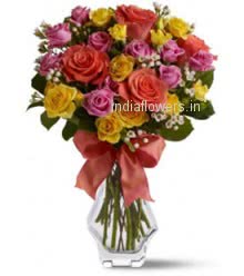 Garden of Roses