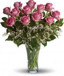 12 Baby Pink Roses