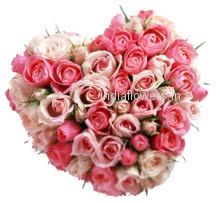 Valentine Pink Heart