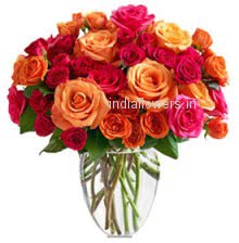 Vivid Mixed Roses