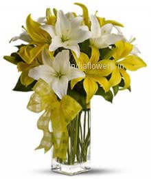 Yellow and White Lilies