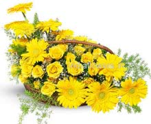 Mixed Yellow Flowers