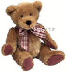 24 Inch Soft Teddy