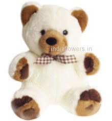 15 Inch Soft Teddy
