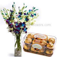 Bunch of 10 Blue Orchids nicely decorated with 16pc Ferrero Rocher Chocolate