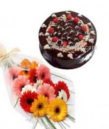 Bunch of 10 mixed colored gerberas nicely decorated with half kg. chocolate cake 