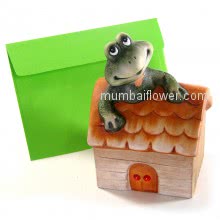 Smiling Frog House