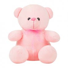 Pink Teddy 12