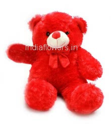Teddy Red Color , Size approx 15 Inch