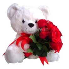 Bunch of 6 Red Roses with Plastic Cellophane Packing and 6 inch Teddy