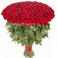 75 Red Roses Bunch