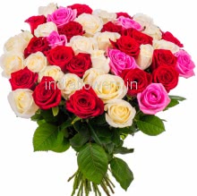 Pink Red and White Roses