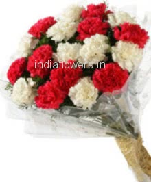 Bunch of 10 Red and 10 White Carnation nicely decorated with fillers and ribbons