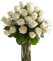 30 White Roses