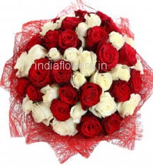 Bunch of 35 Red and White Roses nicely decorated with Paper Packing