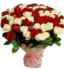Bunch of 50 Red and 50 White Roses nicely decorated with Paper Packing