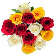 12 Mixed Color Roses